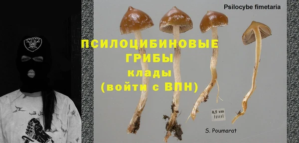 не бодяженный Алексин