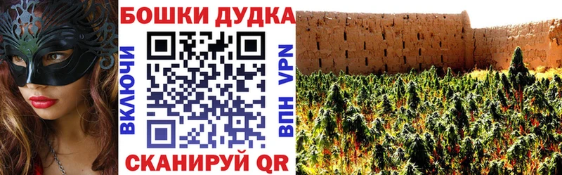 Бошки марихуана AK-47  что такое   kraken маркетплейс  Октябрьск 